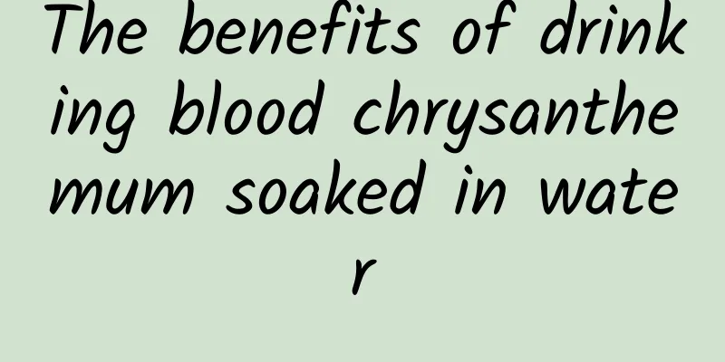 The benefits of drinking blood chrysanthemum soaked in water