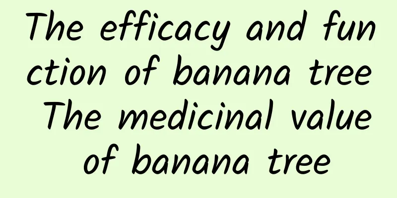 The efficacy and function of banana tree The medicinal value of banana tree