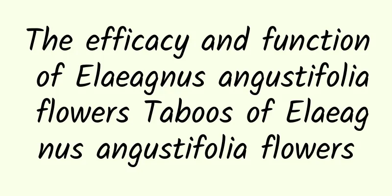 The efficacy and function of Elaeagnus angustifolia flowers Taboos of Elaeagnus angustifolia flowers