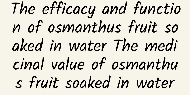 The efficacy and function of osmanthus fruit soaked in water The medicinal value of osmanthus fruit soaked in water