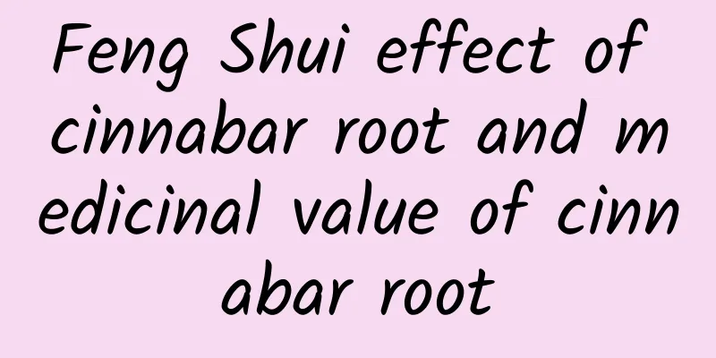 Feng Shui effect of cinnabar root and medicinal value of cinnabar root