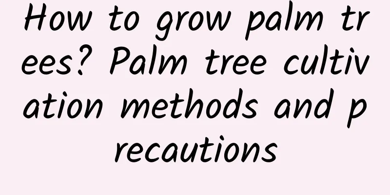 How to grow palm trees? Palm tree cultivation methods and precautions