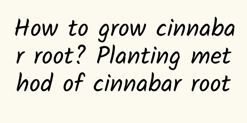 How to grow cinnabar root? Planting method of cinnabar root