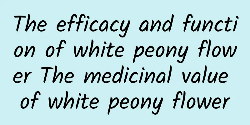 The efficacy and function of white peony flower The medicinal value of white peony flower