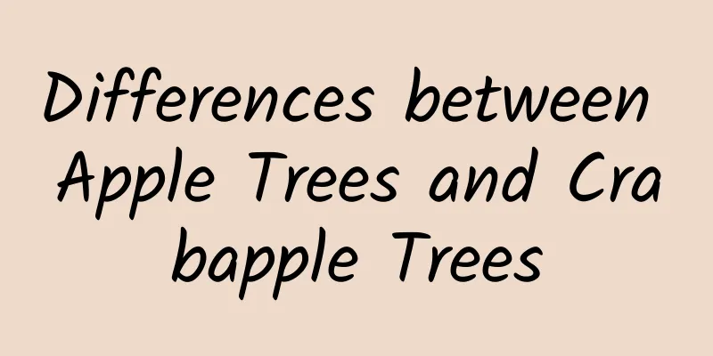 Differences between Apple Trees and Crabapple Trees