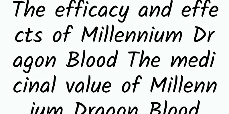 The efficacy and effects of Millennium Dragon Blood The medicinal value of Millennium Dragon Blood