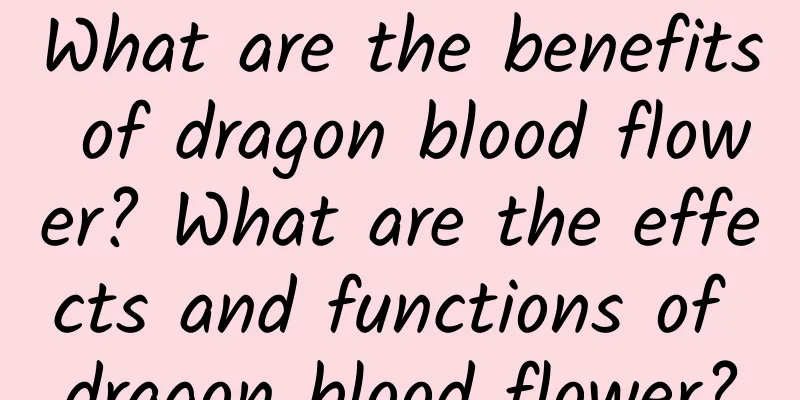 What are the benefits of dragon blood flower? What are the effects and functions of dragon blood flower?