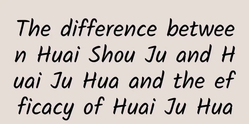 The difference between Huai Shou Ju and Huai Ju Hua and the efficacy of Huai Ju Hua