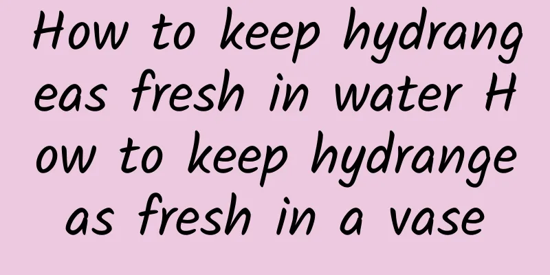 How to keep hydrangeas fresh in water How to keep hydrangeas fresh in a vase