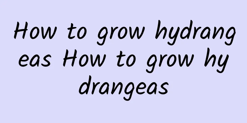 How to grow hydrangeas How to grow hydrangeas