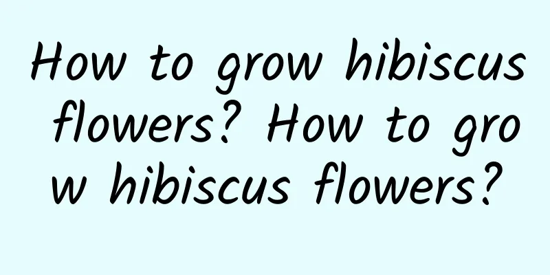 How to grow hibiscus flowers? How to grow hibiscus flowers?