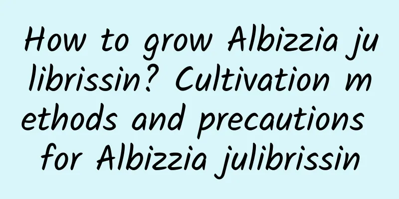 How to grow Albizzia julibrissin? Cultivation methods and precautions for Albizzia julibrissin