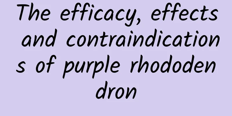 The efficacy, effects and contraindications of purple rhododendron