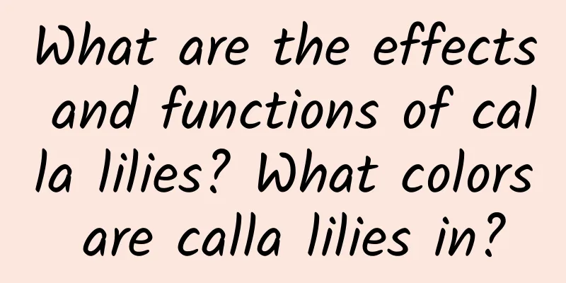 What are the effects and functions of calla lilies? What colors are calla lilies in?