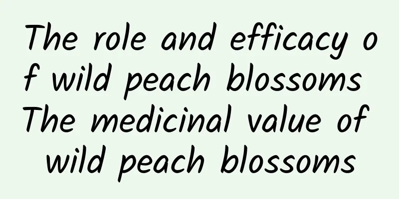 The role and efficacy of wild peach blossoms The medicinal value of wild peach blossoms