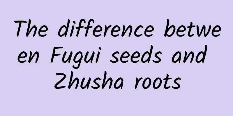 The difference between Fugui seeds and Zhusha roots