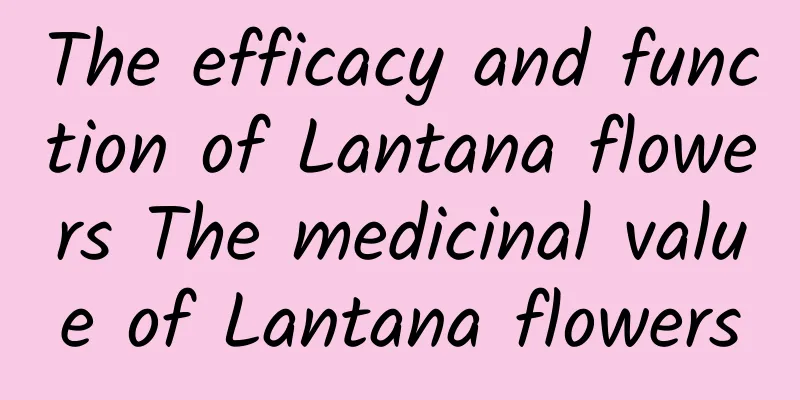 The efficacy and function of Lantana flowers The medicinal value of Lantana flowers