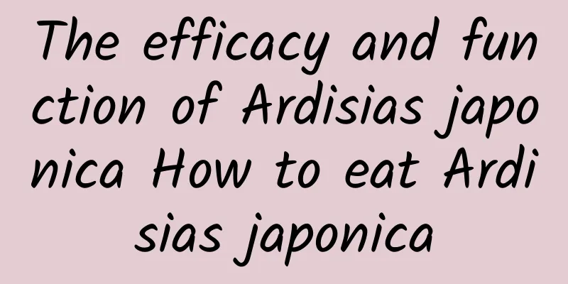 The efficacy and function of Ardisias japonica How to eat Ardisias japonica