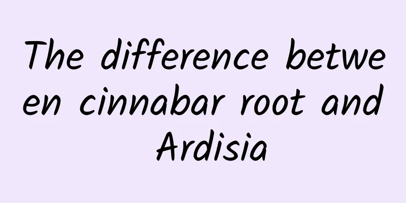 The difference between cinnabar root and Ardisia