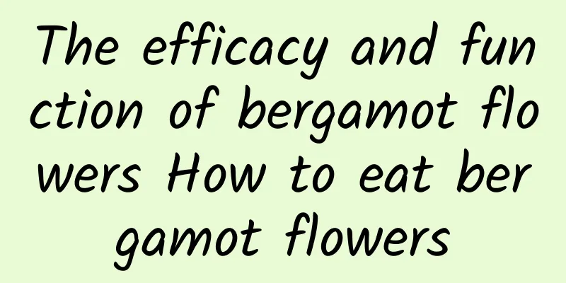 The efficacy and function of bergamot flowers How to eat bergamot flowers