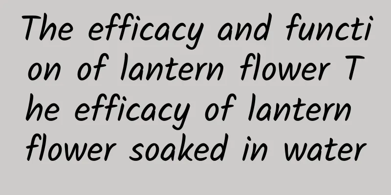 The efficacy and function of lantern flower The efficacy of lantern flower soaked in water