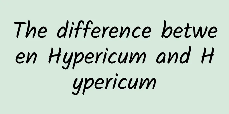 The difference between Hypericum and Hypericum