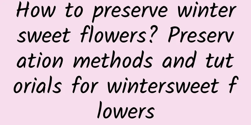 How to preserve wintersweet flowers? Preservation methods and tutorials for wintersweet flowers