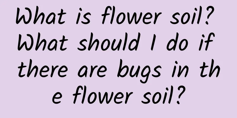 What is flower soil? What should I do if there are bugs in the flower soil?