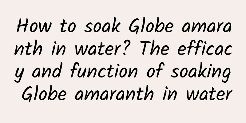 How to soak Globe amaranth in water? The efficacy and function of soaking Globe amaranth in water