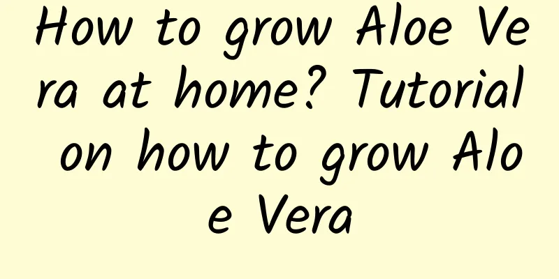 How to grow Aloe Vera at home? Tutorial on how to grow Aloe Vera