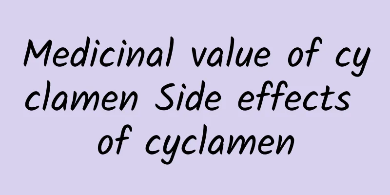 Medicinal value of cyclamen Side effects of cyclamen