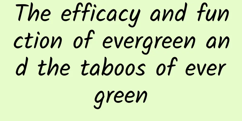 The efficacy and function of evergreen and the taboos of evergreen