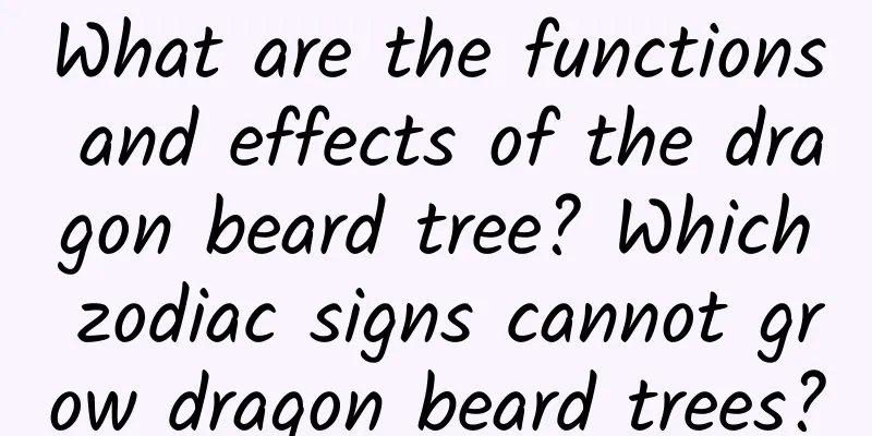 What are the functions and effects of the dragon beard tree? Which zodiac signs cannot grow dragon beard trees?