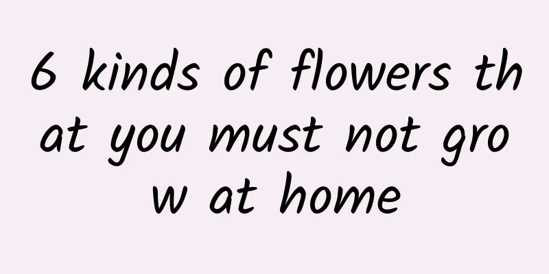 6 kinds of flowers that you must not grow at home