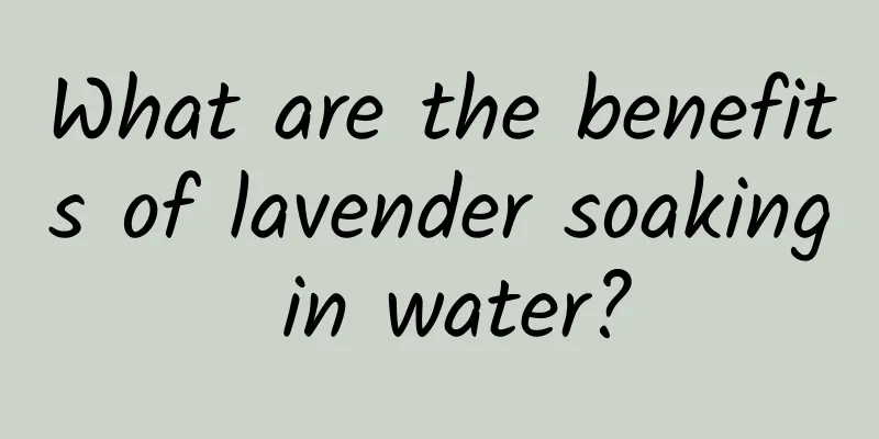 What are the benefits of lavender soaking in water?