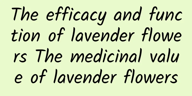 The efficacy and function of lavender flowers The medicinal value of lavender flowers