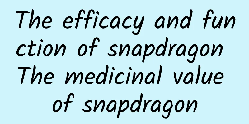 The efficacy and function of snapdragon The medicinal value of snapdragon