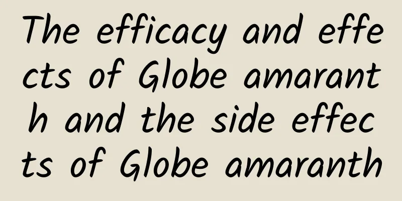 The efficacy and effects of Globe amaranth and the side effects of Globe amaranth