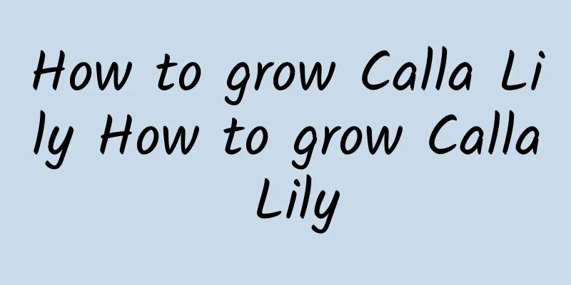 How to grow Calla Lily How to grow Calla Lily