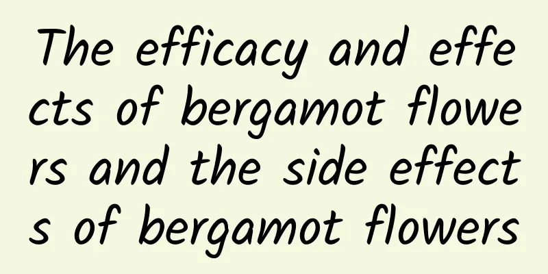 The efficacy and effects of bergamot flowers and the side effects of bergamot flowers