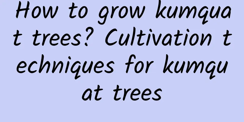 How to grow kumquat trees? Cultivation techniques for kumquat trees