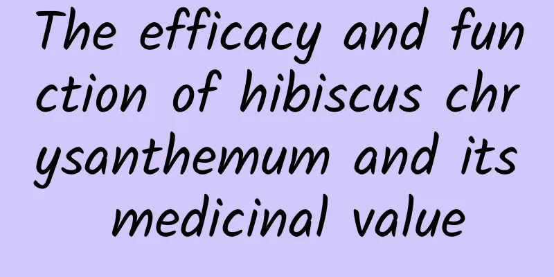 The efficacy and function of hibiscus chrysanthemum and its medicinal value