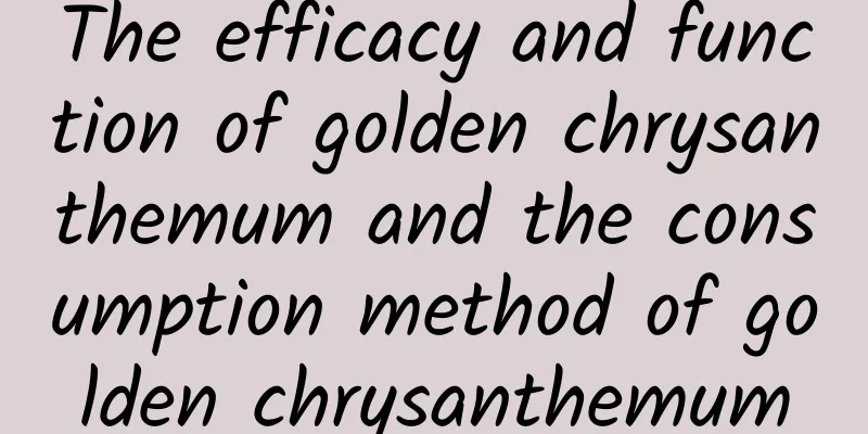 The efficacy and function of golden chrysanthemum and the consumption method of golden chrysanthemum