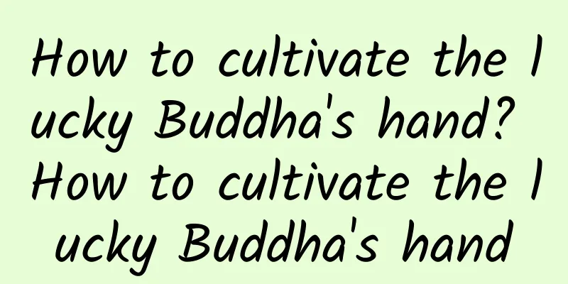 How to cultivate the lucky Buddha's hand? How to cultivate the lucky Buddha's hand