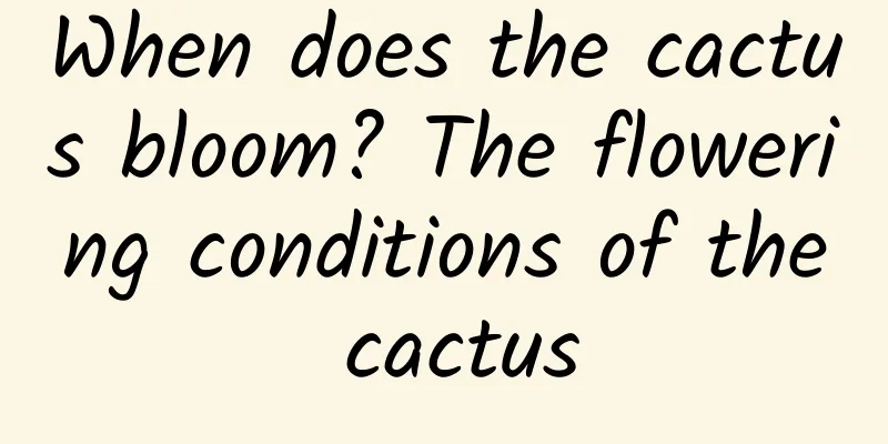 When does the cactus bloom? The flowering conditions of the cactus