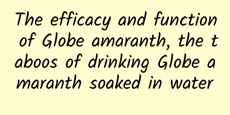 The efficacy and function of Globe amaranth, the taboos of drinking Globe amaranth soaked in water