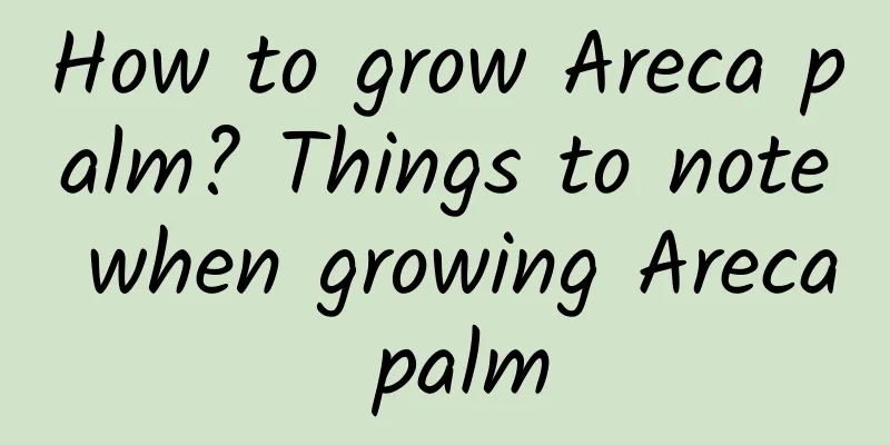 How to grow Areca palm? Things to note when growing Areca palm