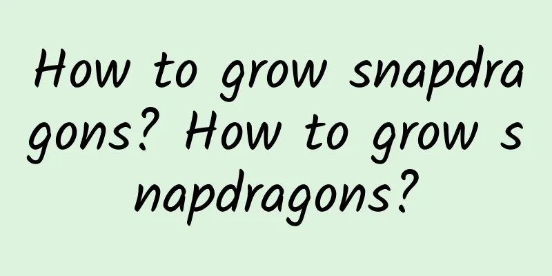 How to grow snapdragons? How to grow snapdragons?