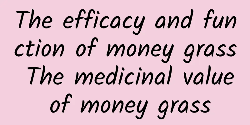 The efficacy and function of money grass The medicinal value of money grass