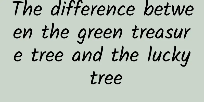 The difference between the green treasure tree and the lucky tree